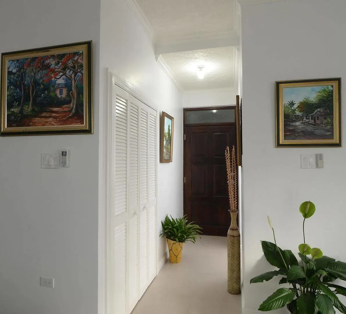Kingsway New Kingston Guest Apartment II